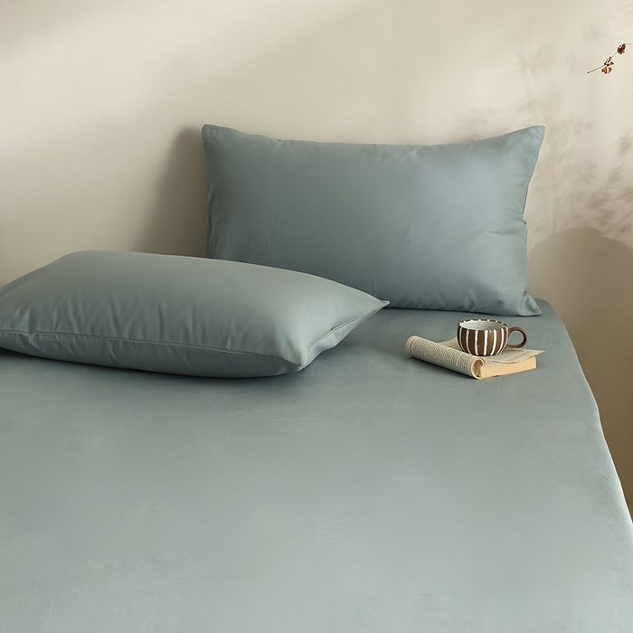 91家纺网 家纺一手货源 找家纺 轩和家居 2024新款50S长绒棉磨毛单枕套 灰蓝