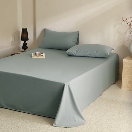 轩和家居 2024新款50S长绒棉磨毛单床单 灰蓝