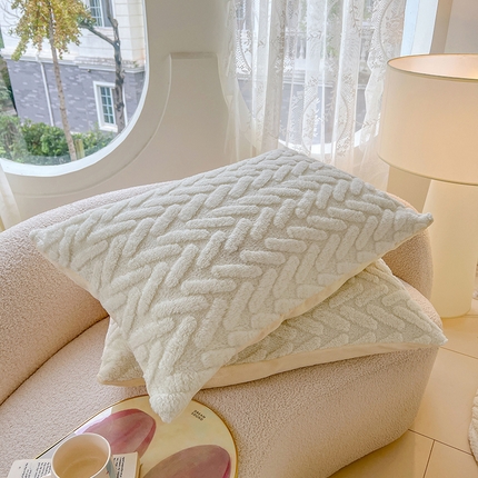 锦润家纺 2024新款双面塔芙绒枕套一对 塔芙绒-米白