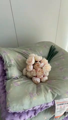 91家纺网 家纺一手货源 找家纺 奈萝家纺 2024新款秋冬印花针织棉豆豆绒春秋被冬被 梦境