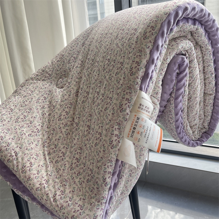 91家纺网 家纺一手货源 找家纺 奈萝家纺 2024新款秋冬印花针织棉豆豆绒春秋被冬被 安妮花园