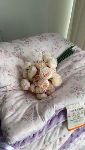 91家纺网 家纺一手货源 找家纺 奈萝家纺 2024新款秋冬印花针织棉豆豆绒春秋被冬被 倾慕