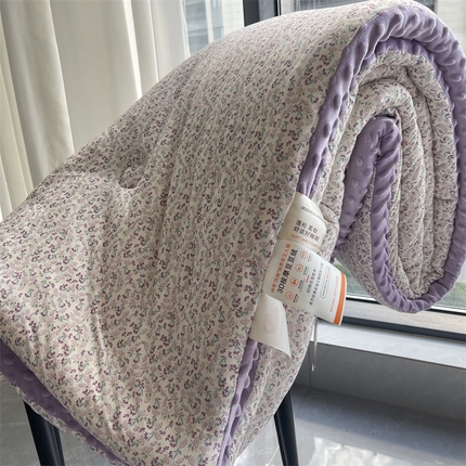 91家纺网 家纺一手货源 找家纺 奈萝家纺 2024新款秋冬印花针织棉豆豆绒春秋被冬被 安妮花园