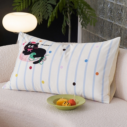 禾时 2024新款全棉纯棉印花刺绣枕套单人卡通枕头套内胆套 猫的问题
