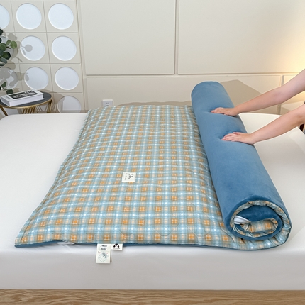 91家纺网 家纺一手货源 找家纺 （总）魅图家纺 2025新款秋冬两用可拆洗棉花床垫