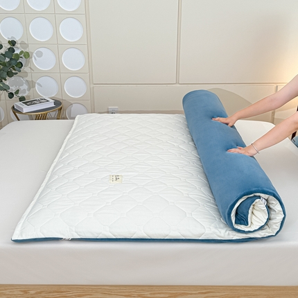 91家纺网 家纺一手货源 找家纺 （总）魅图家纺 2025新款秋冬两用可拆洗棉花床垫