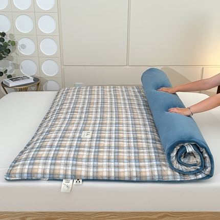 91家纺网 家纺一手货源 找家纺 （总）魅图家纺 2025新款秋冬两用可拆洗棉花床垫