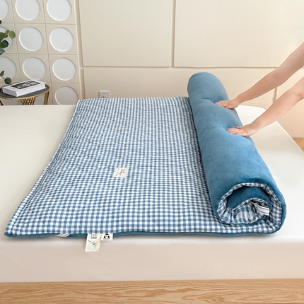 91家纺网 家纺一手货源 找家纺 （总）魅图家纺 2025新款秋冬两用可拆洗棉花床垫