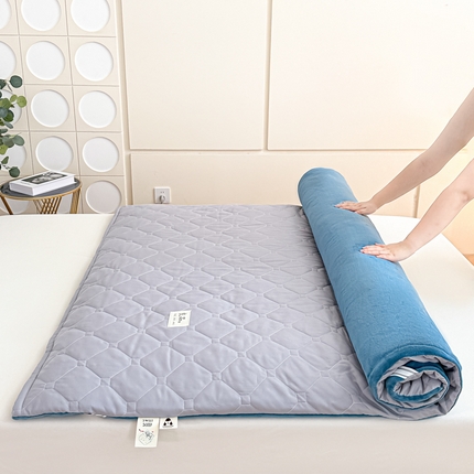 91家纺网 家纺一手货源 找家纺 （总）魅图家纺 2025新款秋冬两用可拆洗棉花床垫