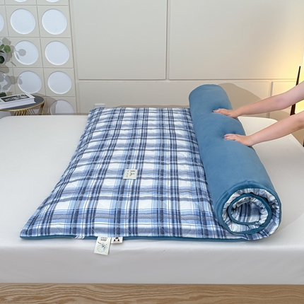 91家纺网 家纺一手货源 找家纺 （总）魅图家纺 2025新款秋冬两用可拆洗棉花床垫