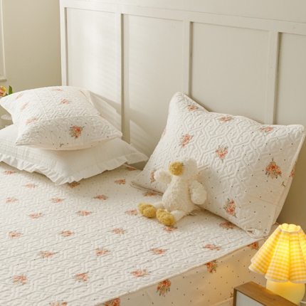 2024新款全棉夹棉枕套-印花类 花簇-米