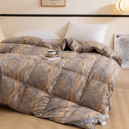 兰言诺羽绒被 2025新款95%白鹅绒被被子被芯 暖绒凤羽