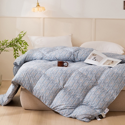 兰言诺羽绒被 2025新款95%白鹅绒被被子被芯 暖绒菱块