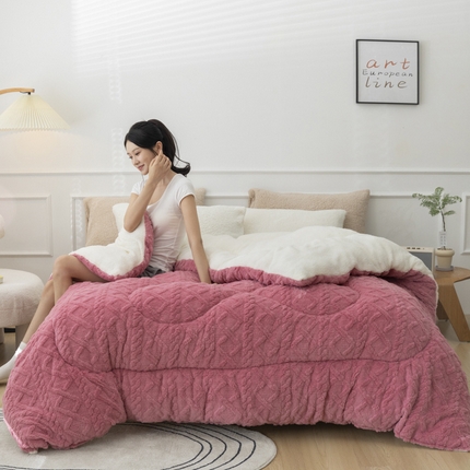91家纺网 家纺一手货源 找家纺 （总）2025新款亲肤舒适塔芙绒保暖冬被被子被芯