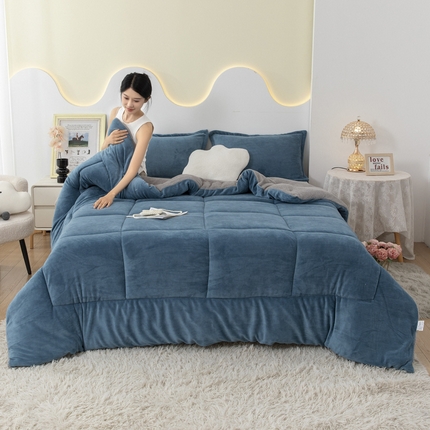 91家纺网 家纺一手货源 找家纺 （总）2025新款亲肤舒适塔芙绒保暖冬被被子被芯