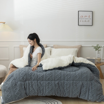 91家纺网 家纺一手货源 找家纺 （总）2025新款亲肤舒适塔芙绒保暖冬被被子被芯