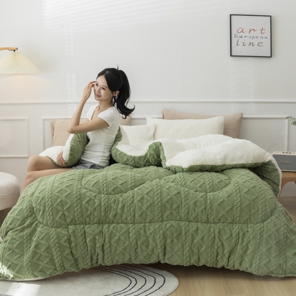 91家纺网 家纺一手货源 找家纺 （总）2025新款亲肤舒适塔芙绒保暖冬被被子被芯