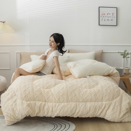 91家纺网 家纺一手货源 找家纺 （总）2025新款亲肤舒适塔芙绒保暖冬被被子被芯