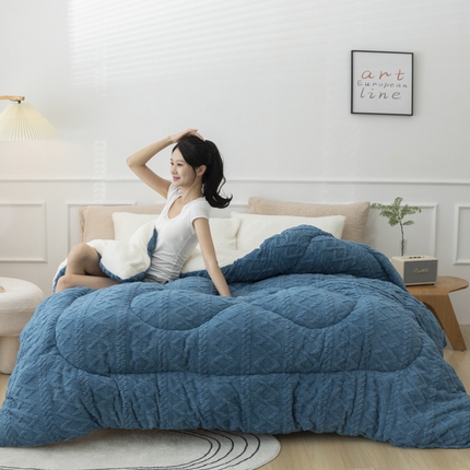 91家纺网 家纺一手货源 找家纺 （总）2025新款亲肤舒适塔芙绒保暖冬被被子被芯