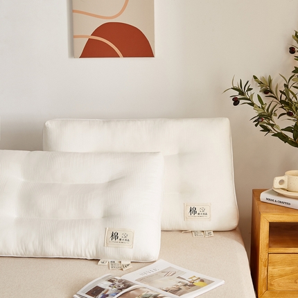 91家纺网 家纺一手货源 找家纺 （总）昕科 2025新款A类生态原棉分区枕头枕芯