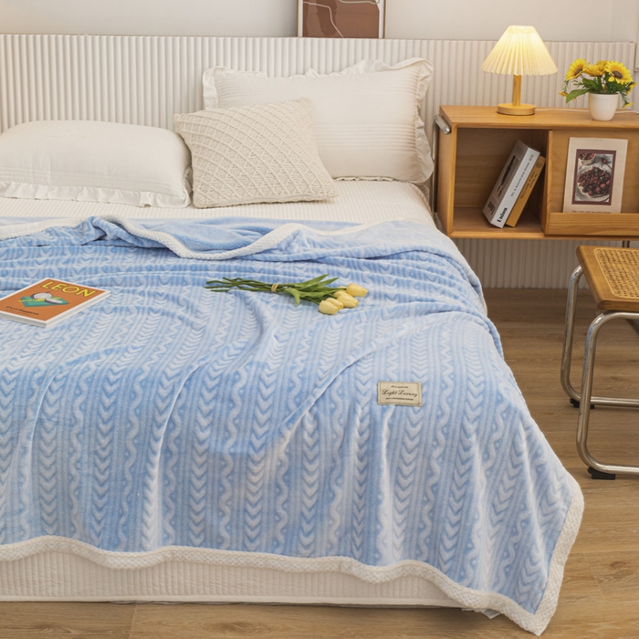 91家纺网 家纺一手货源 找家纺 （总）佰丝居 2023新款250克亲肤舒适3D雪花绒毛毯毯子