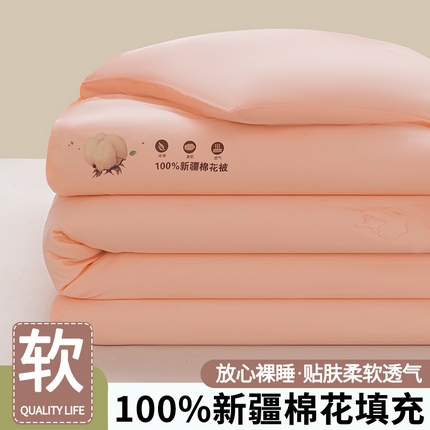91家纺网 家纺一手货源 找家纺 （总）佰丝居 2024秋冬新款100%棉新疆棉花被包检测被芯春秋被