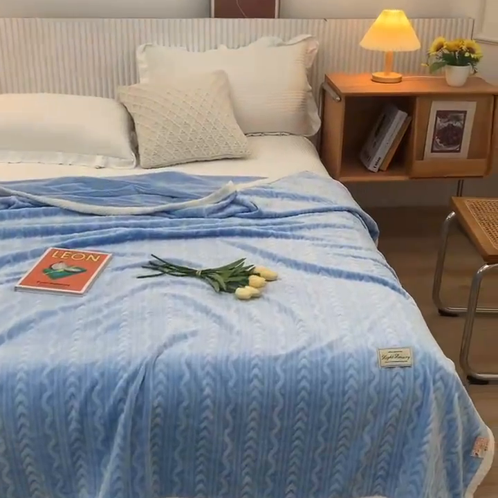 91家纺网 家纺一手货源 找家纺 （总）佰丝居 2023新款250克亲肤舒适3D雪花绒毛毯毯子