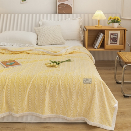 91家纺网 家纺一手货源 找家纺 （总）佰丝居 2023新款250克亲肤舒适3D雪花绒毛毯毯子