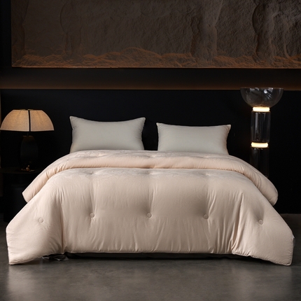 91家纺网 家纺一手货源 找家纺 朴罗 （ 原岚图） 2024新款臻品色织蚕丝大豆被含礼盒包装  香槟色