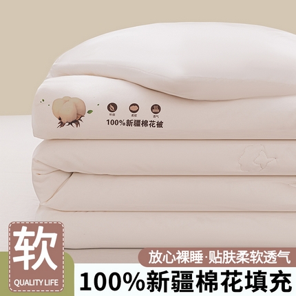 91家纺网 家纺一手货源 找家纺 （总）佰丝居 2024秋冬新款100%棉新疆棉花被包检测被芯春秋被