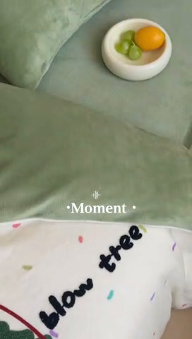 91家纺网 家纺一手货源 找家纺 时年家纺 2024新款牛奶绒毛巾绣系列四件套（充值会员优惠5元） 圣诞树