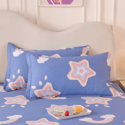 91家纺网 家纺一手货源 找家纺 （总）棉立方家纺 2023新款全棉喷气印花四件套及单品-单枕套