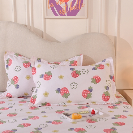 91家纺网 家纺一手货源 找家纺 （总）棉立方家纺 2023新款全棉喷气印花四件套及单品-单枕套