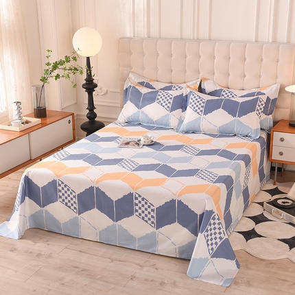 91家纺网 家纺一手货源 找家纺 （总）棉立方家纺 2023新款全棉喷气印花四件套及单品-单床单