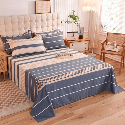 91家纺网 家纺一手货源 找家纺 （总）棉立方家纺 2023新款全棉喷气印花四件套及单品-单床单