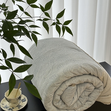 91家纺网 家纺一手货源 找家纺 （总）U被家纺 2025新款法式贴边韩国绒豆豆被被子被芯