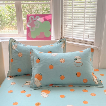 91家纺网 家纺一手货源 找家纺 （总）棉立方家纺 2023新款全棉时尚印花单品套件系列-单独枕套