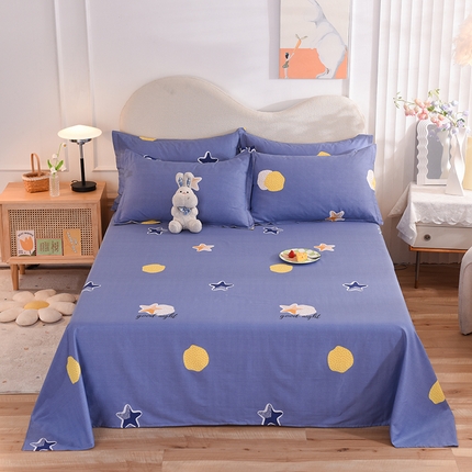 91家纺网 家纺一手货源 找家纺 （总）棉立方家纺 2024新款全棉喷气印花四件套单品系列-床单