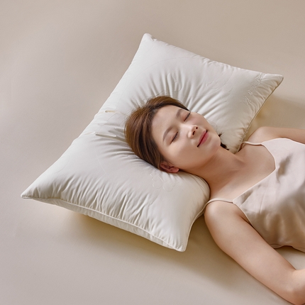 91家纺网 家纺一手货源 找家纺 （总）2024新款单边立体蚕丝枕枕头枕芯