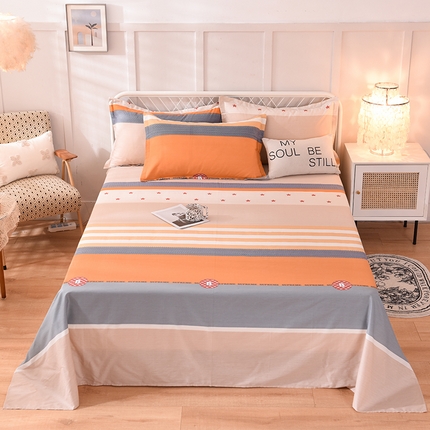 91家纺网 家纺一手货源 找家纺 （总）棉立方家纺 2024新款全棉喷气印花四件套单品系列-床单