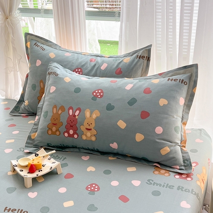 91家纺网 家纺一手货源 找家纺 （总）棉立方家纺 2024年6月新出款式全棉印花四件套单品系列-枕套