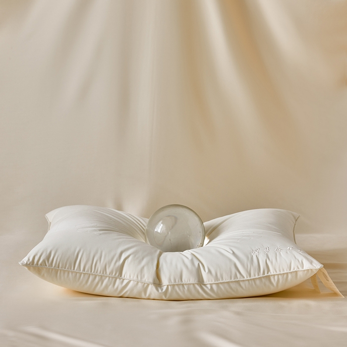 91家纺网 家纺一手货源 找家纺 （总）2024新款单边立体蚕丝枕枕头枕芯
