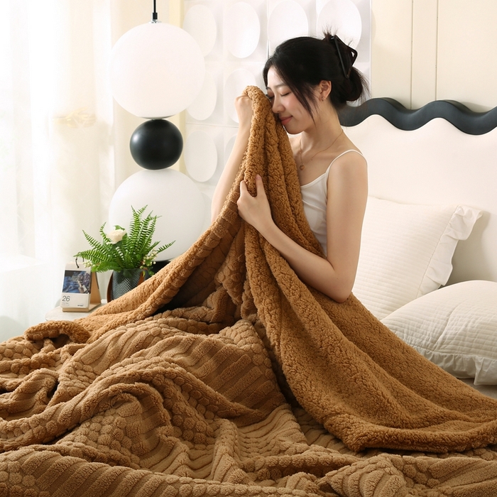 91家纺网 家纺一手货源 找家纺 巴木赫 2024新款舒棉绒点点塔芙绒双层配色羊羔绒沙发盖毯 棕咖配色