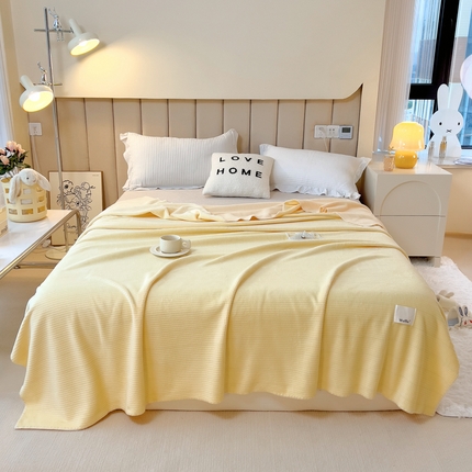 91家纺网 家纺一手货源 找家纺 （总）美梦莱 2022新款华夫格牛奶绒双层复合毯空调毯（支持一件代发）