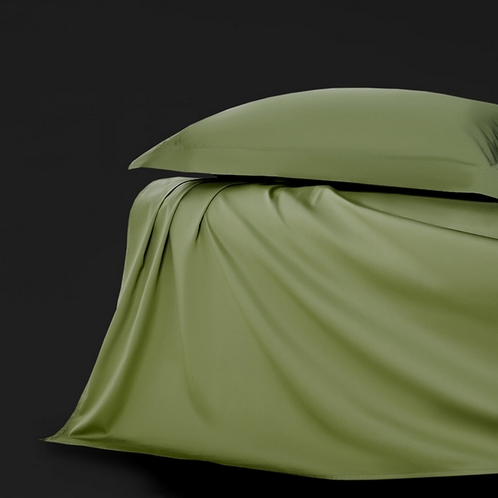 91家纺网 家纺一手货源 找家纺 轩和家居 2024新款70S长绒棉单床单 韶华绿