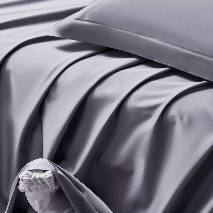 91家纺网 家纺一手货源 找家纺 轩和家居 2024新款70S长绒棉被套 东来紫