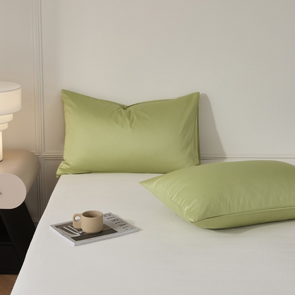 EH家居 2024新款60支长绒棉纯色单枕套 春芽绿