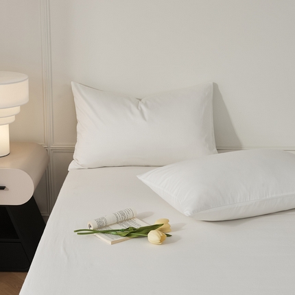 EH家居 2024新款60支长绒棉纯色单枕套 纯白色