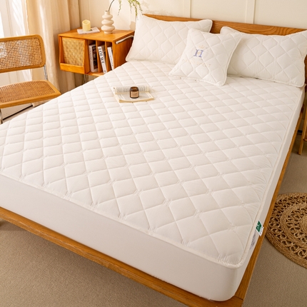 安逸恋 2025新款7A级抗菌水洗棉大豆夹棉床笠加厚款 珍珠白