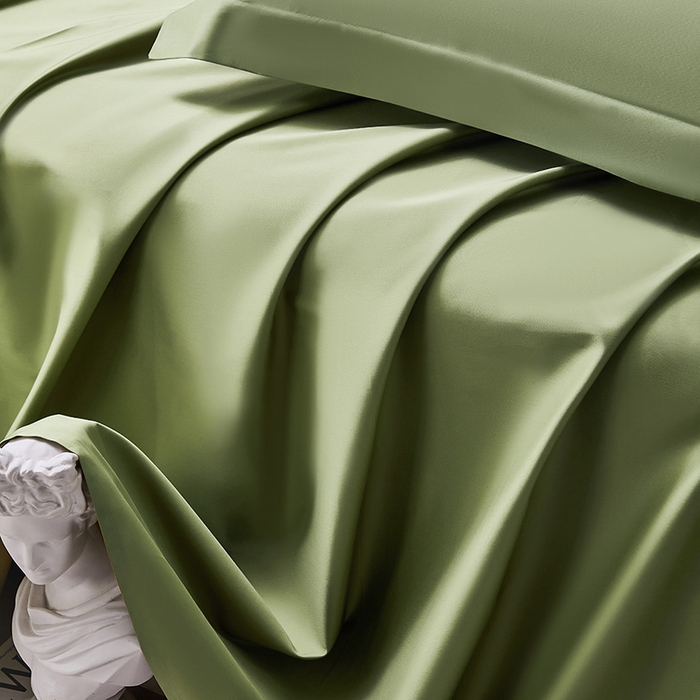 91家纺网 家纺一手货源 找家纺 轩和家居  2024新款70S长绒棉四件套 韶华绿